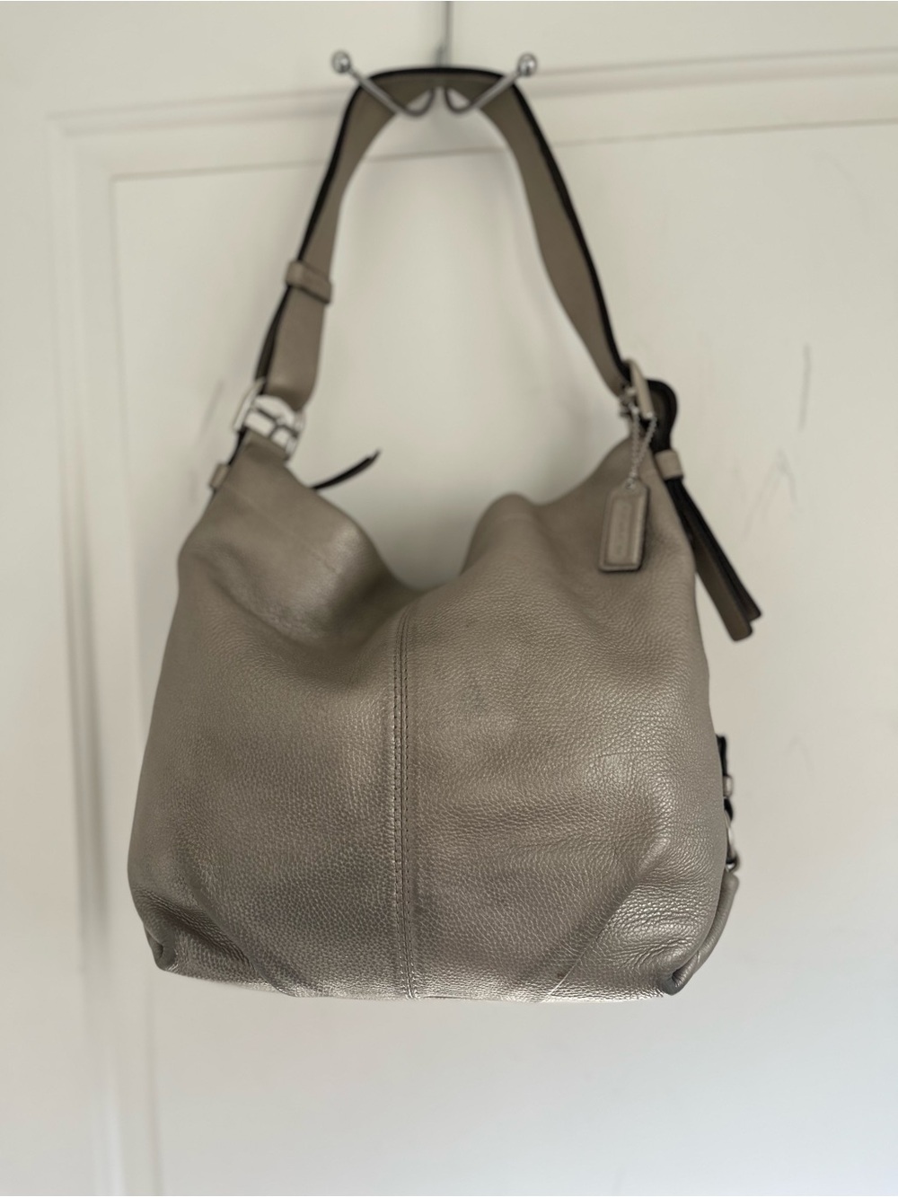 Coach Soho Lynn Metallic Leather Hobo Bag